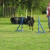 20120717_1789044092_img_4285