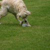 20080613_1631889609_sally-metall