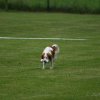 20080613_1844178776_marie-apport