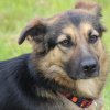 20150510_1418191528_k-img_4680
