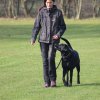 Begleithundeprüfung 08.04.2017