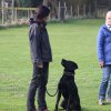 Begleithundeprüfung 08.04.2017